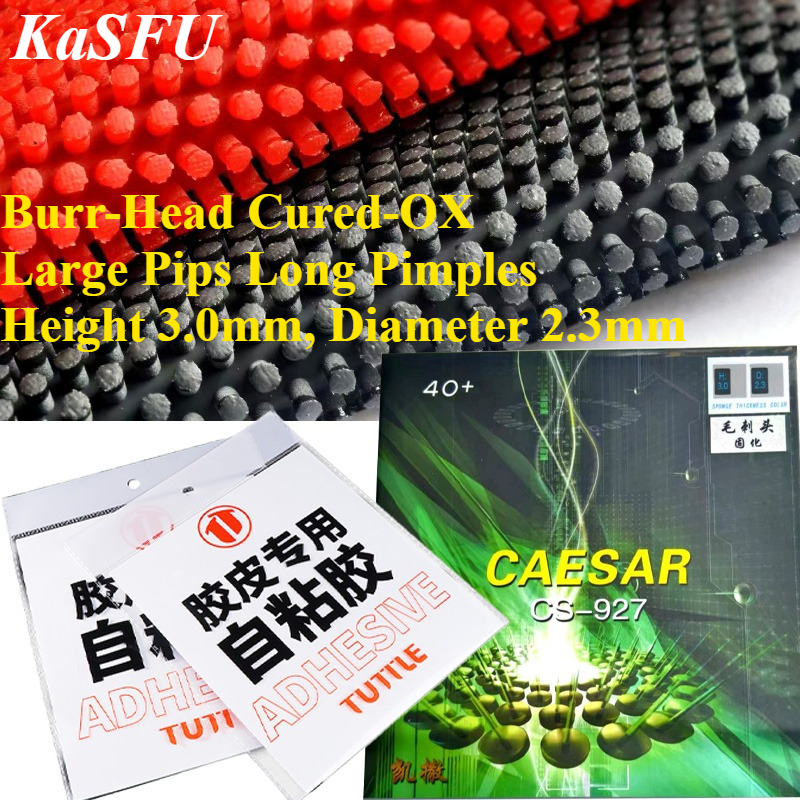Table Tennis Head To Head - KaFSU Multi-Layer Cured OX Table Tennis