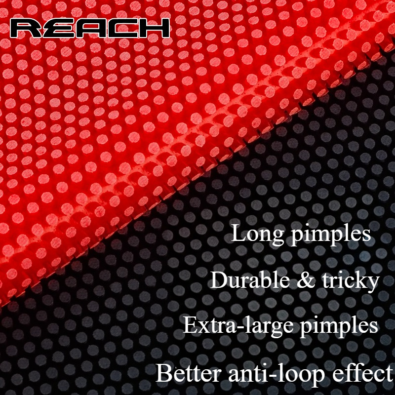 Reach C-8 C-801 Table-tennis R - Table Tennis Rubber avis et prix