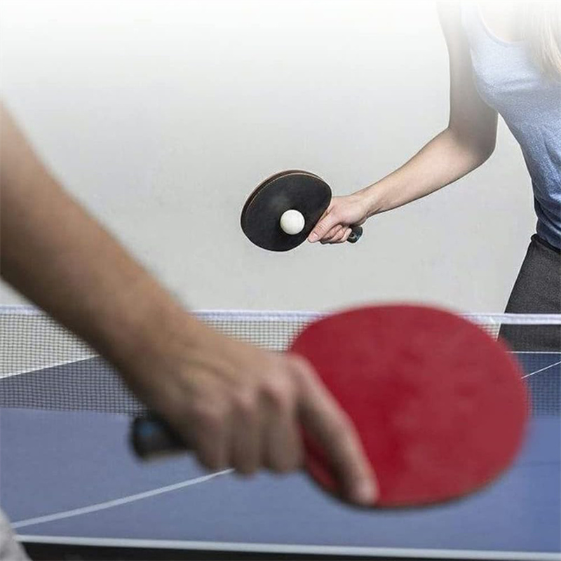 Portable Table Tennis Net Poly - Table Tennis Online avis et prix