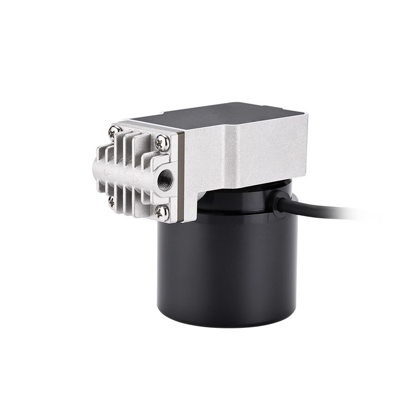 Swinging piston pump 24V boost - Rubber Booster Speed avis et prix